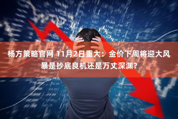 杨方策略官网 11月2日重大：金价下周将迎大风暴是抄底良机还是万丈深渊？