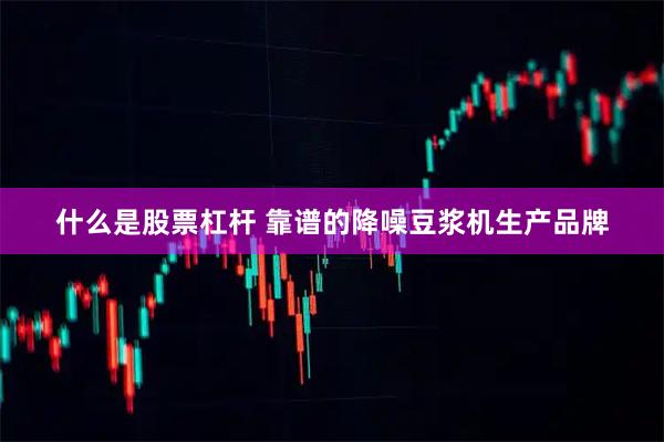 什么是股票杠杆 靠谱的降噪豆浆机生产品牌